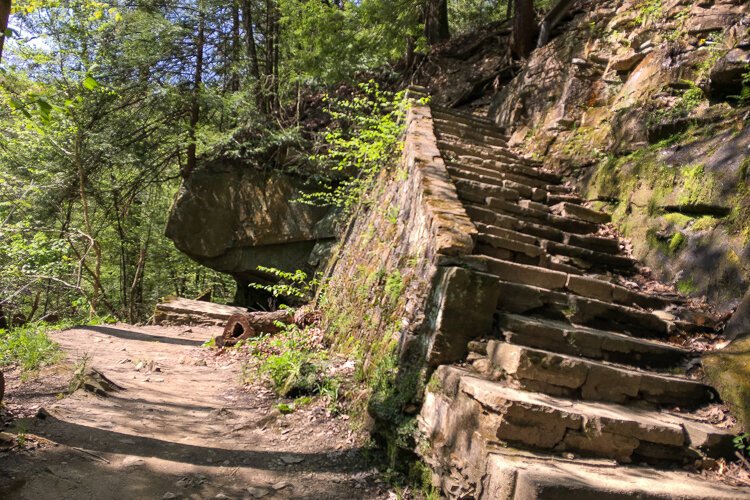 Henry Church Rock Loop trail.